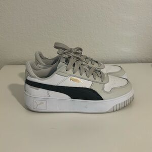 Puma Platform
